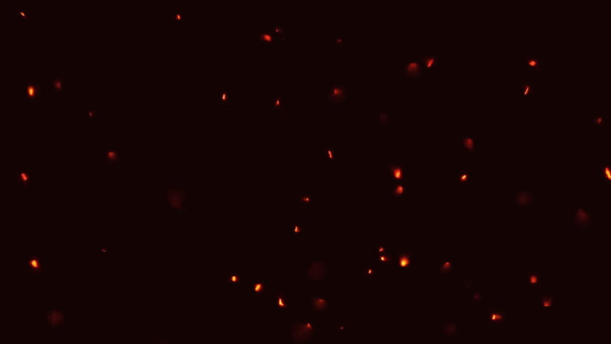 Glowing Red Embers and Sparks Floating Against a Deep Black Background HD wallpaper