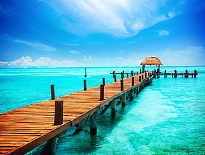 Wooden pier extending into turquoise tropical waters with thatched shelter under a bright blue sky HD wallpaper