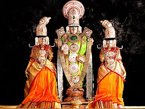 Lord Venkateswara Swamy with consorts in ornate temple attire and traditional jewelry HD wallpaper
