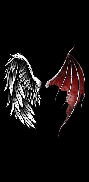 Lucifer Wings: White Angel and Red Demon Wing Artwork on Black Background HD phone wallpaper
