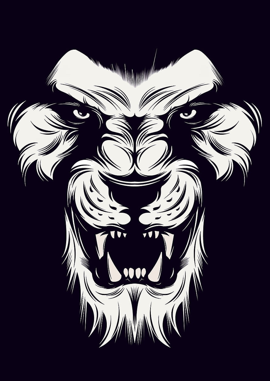 Fierce Roaring Lion Head Vector Illustration in High Contrast Black and White HD phone wallpaper