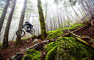 Mountain Biker Jumping Over Mossy Rocks in a Misty Forest Trail HD wallpaper