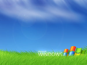 Microsoft Windows 7 Bliss Grass and Sky Desktop Background HD wallpaper