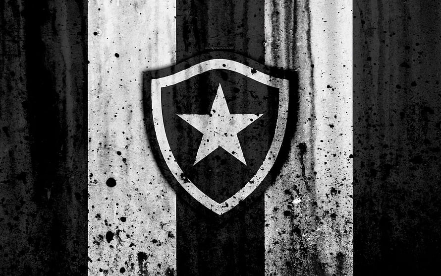 Botafogo Grifo Shield Emblem on Grungy Black and White Vertical Stripes HD wallpaper