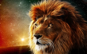 Majestic Lion Portrait Against a Glowing Starry Sky and Sunset Horizon HD wallpaper