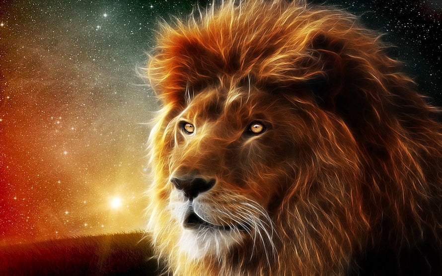 Majestic Lion Portrait Against a Glowing Starry Sky and Sunset Horizon HD wallpaper