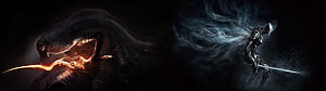 Dark Souls 3 Boreal Outrider Knight and Dancer of the Boreal Valley Dark Fantasy Art HD wallpaper