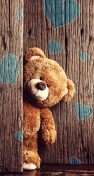 Cuddly Brown Teddy Bear Peeking from Rustic Wooden Planks with Blue Heart Accents HD phone wallpaper