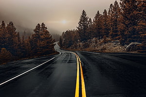Winding Mountain Road Through Dark Pine Forest Under Misty Sky HD wallpaper