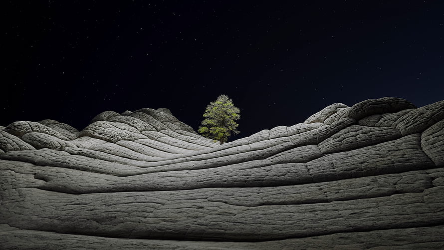 Lone Tree on Rugged Desert Ridge Under a Starry Night Sky HD wallpaper