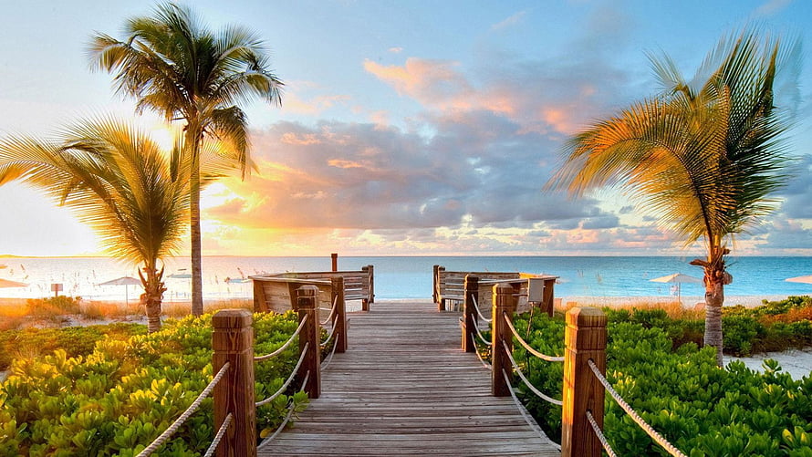 Tropical Beach Boardwalk at Golden Hour with Palm Trees and Ocean View HD wallpaper