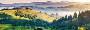 Misty Green Rolling Hills at Sunrise with Pine Forests and Distant Mountain Ranges HD wallpaper