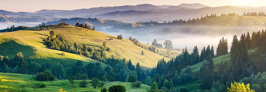 Misty Green Rolling Hills at Sunrise with Pine Forests and Distant Mountain Ranges HD wallpaper