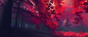 Mystical Red Autumn Forest with Foggy Atmosphere and Dark Tree Trunks HD wallpaper