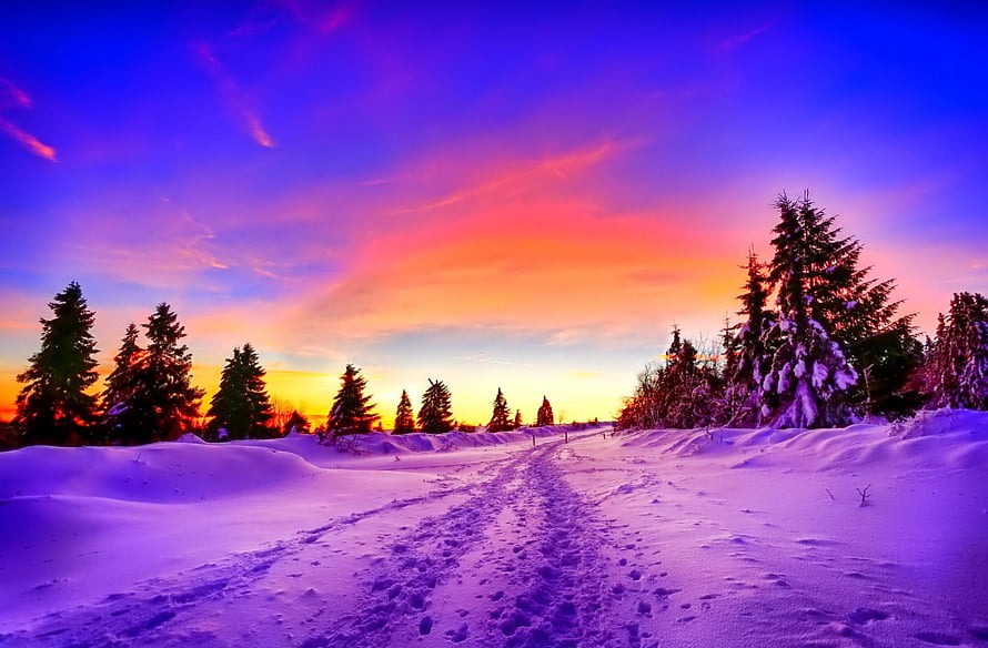 Vivid Winter Sunset Over Snowy Pine Forest With Frozen Trail HD wallpaper