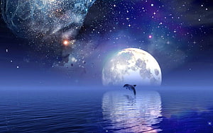 Dolphin Leaping Under a Full Moon in a Starry Night Sky Over Calm Ocean Waters HD wallpaper