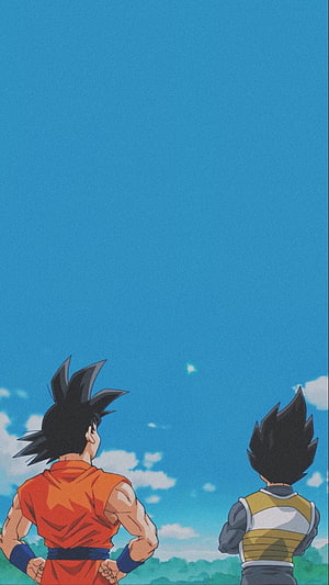 Goku and Vegeta Watching the Sky in Dragon Ball Super Anime Scene HD phone wallpaper