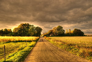 Rural dirt road cutting through golden autumn fields under a dramatic stormy sky HD wallpaper