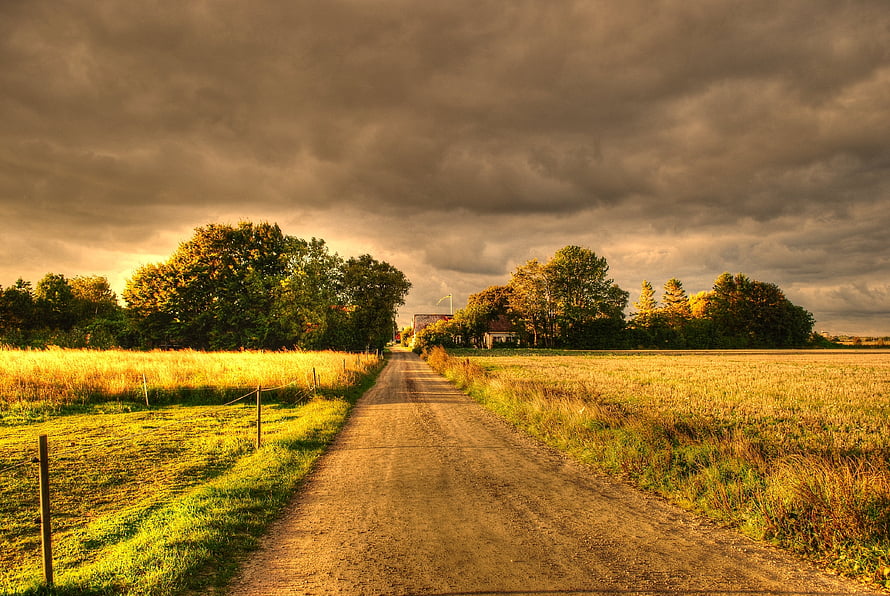 Rural dirt road cutting through golden autumn fields under a dramatic stormy sky HD wallpaper