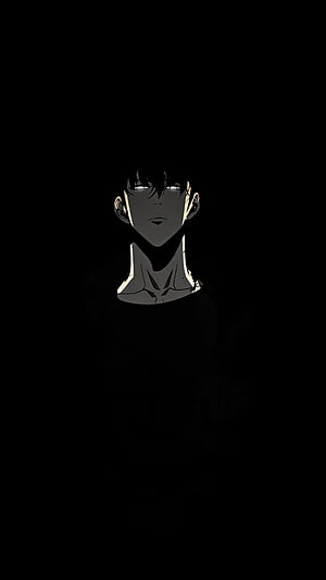 Solo Leveling Anime Character Portrait in Dark Minimalist Style HD phone wallpaper