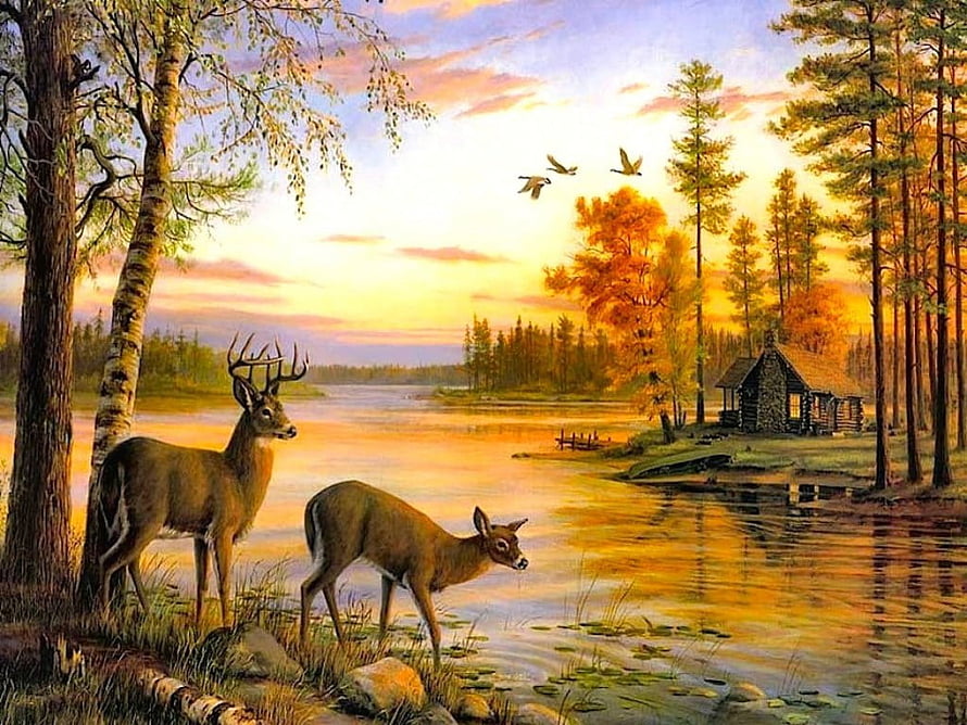 Painted Deer by a Lakeside Cottage at Sunset in a Forest HD wallpaper