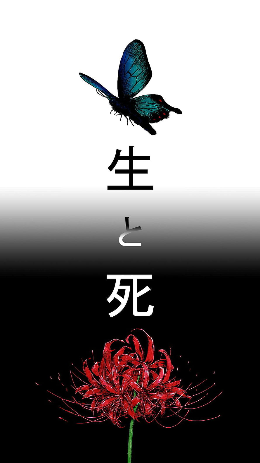Papilio Ulysses Butterfly and Lycoris Radiata Spider Lily on Black and White Gradient Background HD phone wallpaper