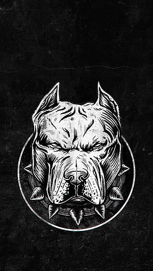 Monochrome Pitbull Head Illustration with Spiked Collar on Dark Textured Background HD phone wallpaper