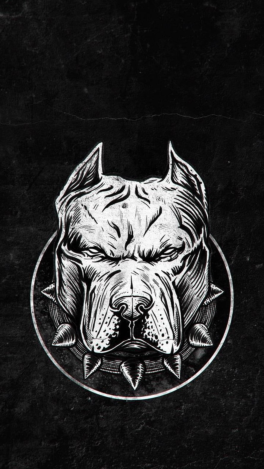 Monochrome Pitbull Head Illustration with Spiked Collar on Dark Textured Background HD phone wallpaper