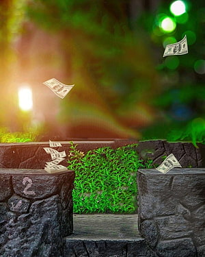 Money Falling on Stone Steps in a Lush Garden with Warm Sunlight and Bokeh HD phone wallpaper