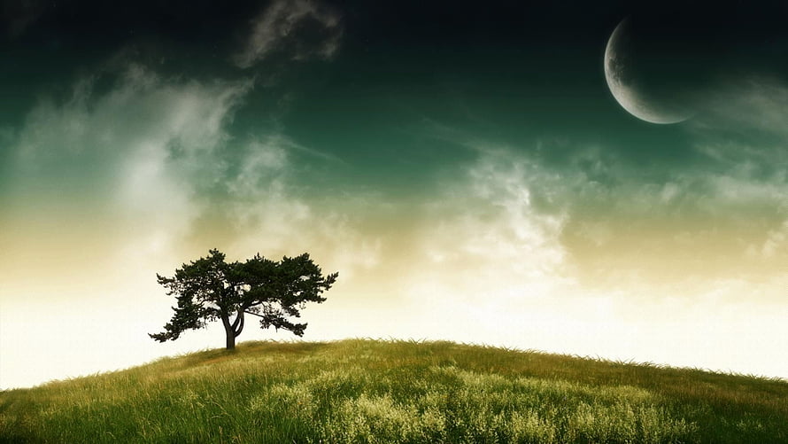 Lone Tree on Grassy Hill Under Dramatic Sky with Crescent Moon HD wallpaper