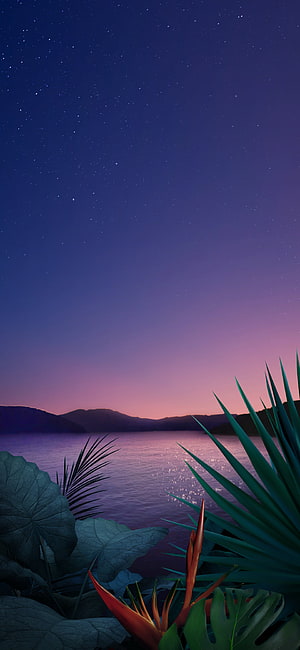 Tropical Night Sky Over Calm Water With Lush Foliage and Distant Mountains HD phone wallpaper