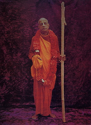 Srila Prabhupada in saffron robes with flower garland and wooden staff HD phone wallpaper