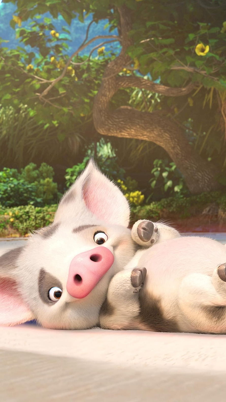 Pua the Piglet from Disney Moana Lying on His Back in a Lush Tropical Garden HD phone wallpaper