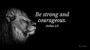 Majestic Lion Profile with Inspirational Bible Verse on Black Background HD wallpaper