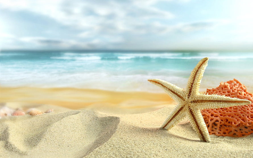 Starfish and Coral on Sandy Beach with Turquoise Ocean Waves HD wallpaper