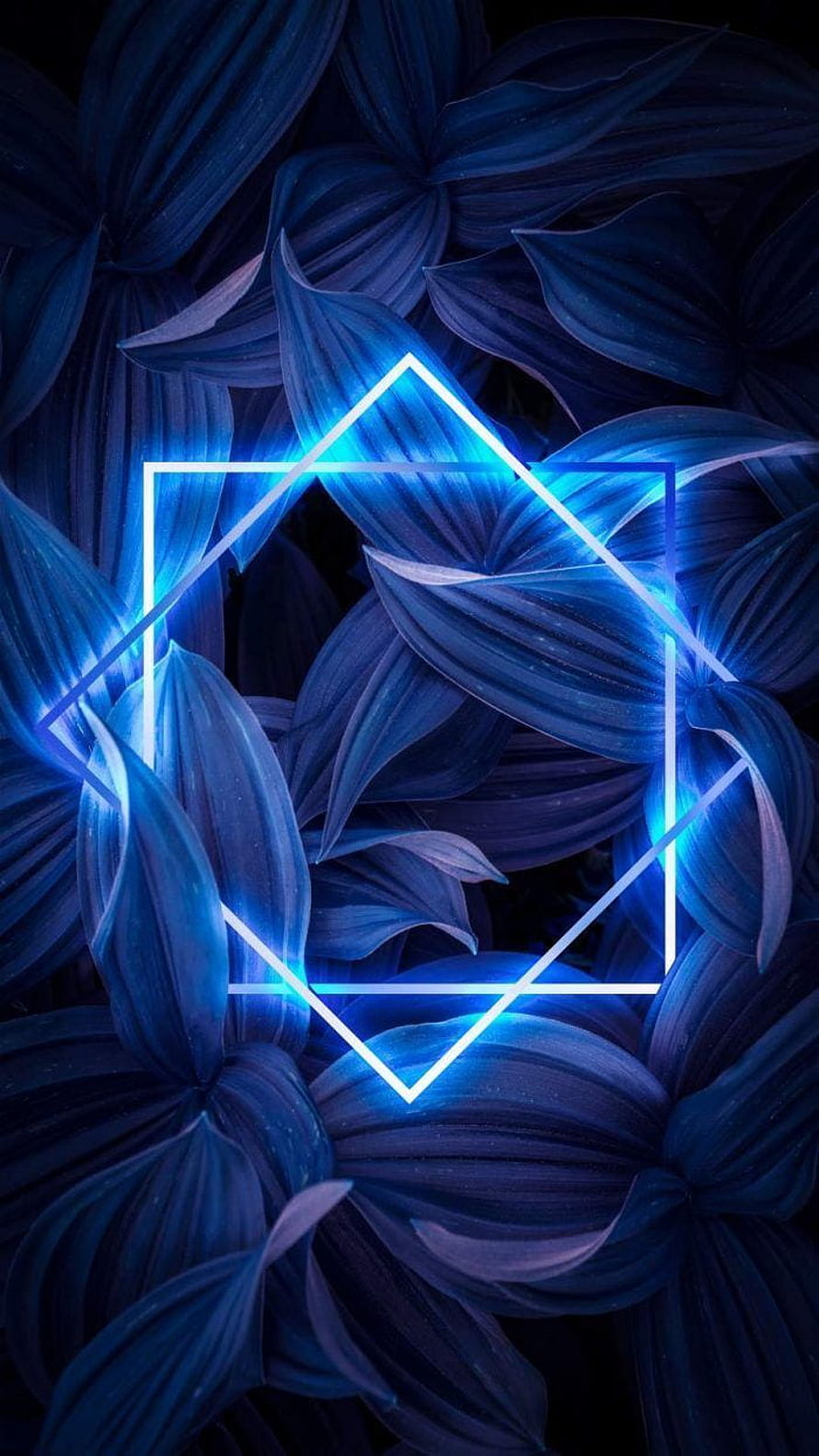 Neon Geometric Shapes Over Dark Blue Tropical Leaves Abstract Wallpaper HD phone wallpaper