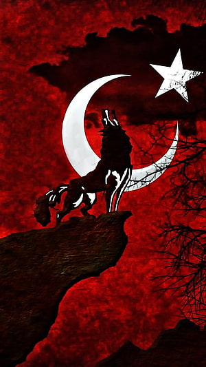 Turkish Wolf Howling at Crescent Moon and Star Against Red Sky HD phone wallpaper