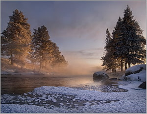 Misty Winter River Landscape with Snow-Covered Pine Trees at Golden Hour HD wallpaper