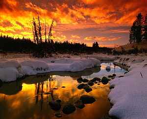 Raven Creek Winter Sunset with Snowy Banks and Golden Sky Reflections HD wallpaper