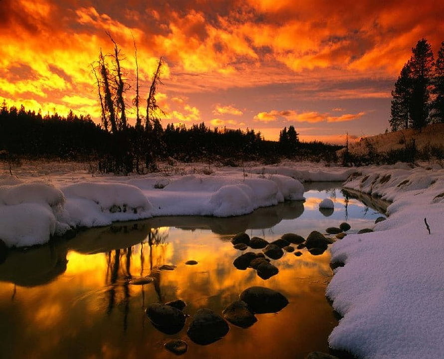 Raven Creek Winter Sunset with Snowy Banks and Golden Sky Reflections HD wallpaper