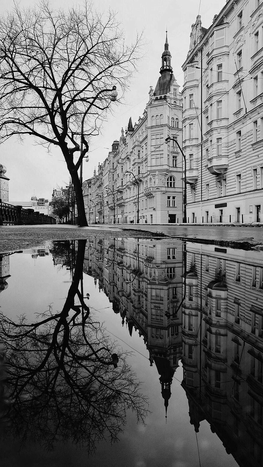 Monochrome European Street Scene with Architectural Reflections in a Puddle HD phone wallpaper