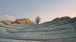 Lone Tree Standing on Erosion Carved Rock Formations at Golden Hour HD wallpaper