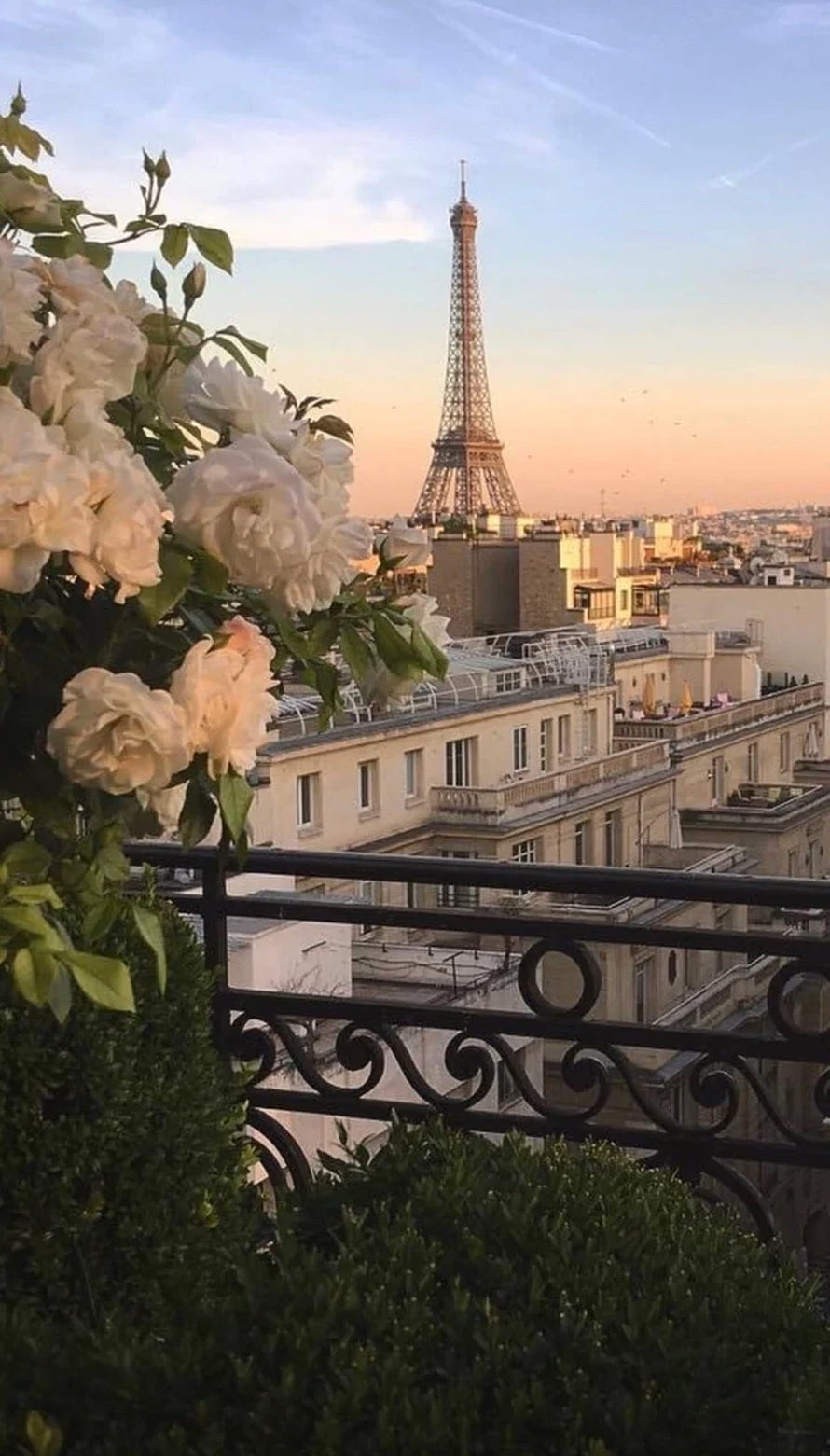 Romantic Paris Balcony View Featuring White Roses and the Eiffel Tower at Golden Hour HD phone wallpaper