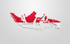 3D Map of Indonesia Featuring Red and White National Flag Colors on a Minimalist Gray Background HD wallpaper