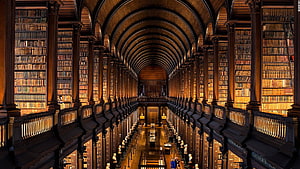 Grand Gothic Library Interior With Vaulted Wooden Ceiling And Tall Bookshelves HD wallpaper