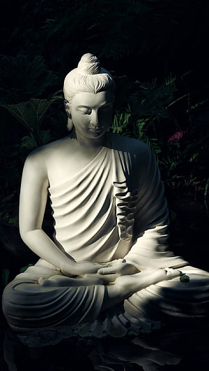 Serene White Buddha Statue in Meditation Amidst Dark Lush Foliage HD phone wallpaper