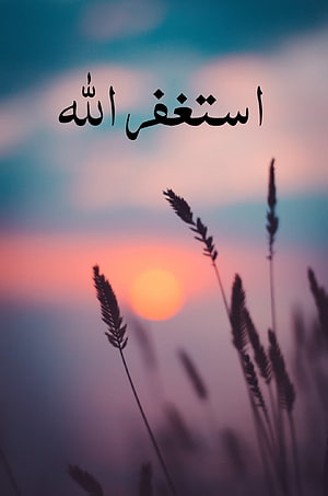 Islamic Sunset Wallpaper With Arabic Calligraphy And Silhouetted Grass HD phone wallpaper