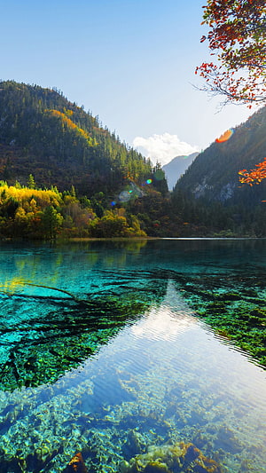 Crystal Clear Alpine Lake with Autumn Forest and Mountain Reflections HD phone wallpaper