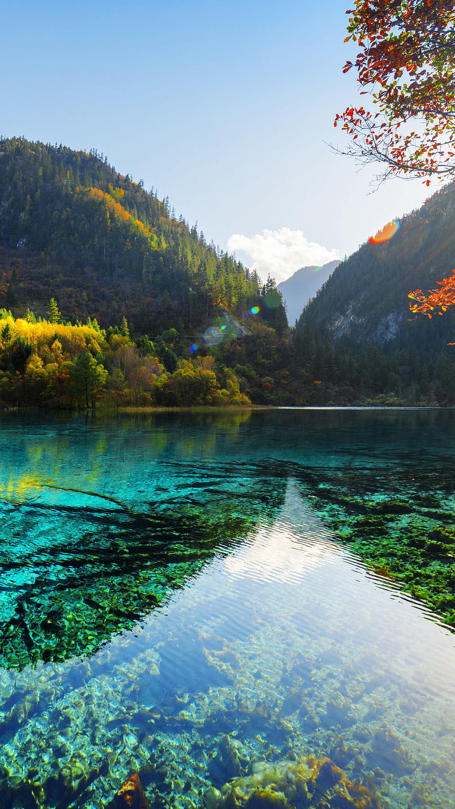 Crystal Clear Alpine Lake with Autumn Forest and Mountain Reflections HD phone wallpaper