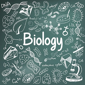 Hand-drawn biology doodles on a chalkboard with DNA, cells, microscope, and scientific terms HD phone wallpaper